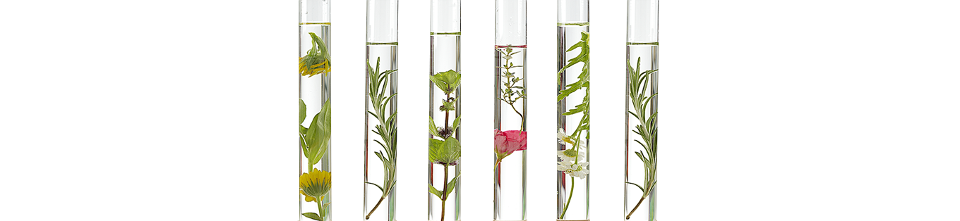 Từ điển thành phần