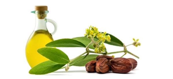Simmondsia Chinesis (Jojoba) Seed Oil