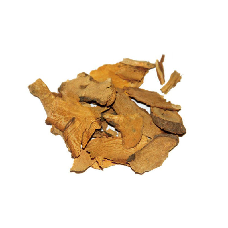 Polygonum cuspidatum root extract