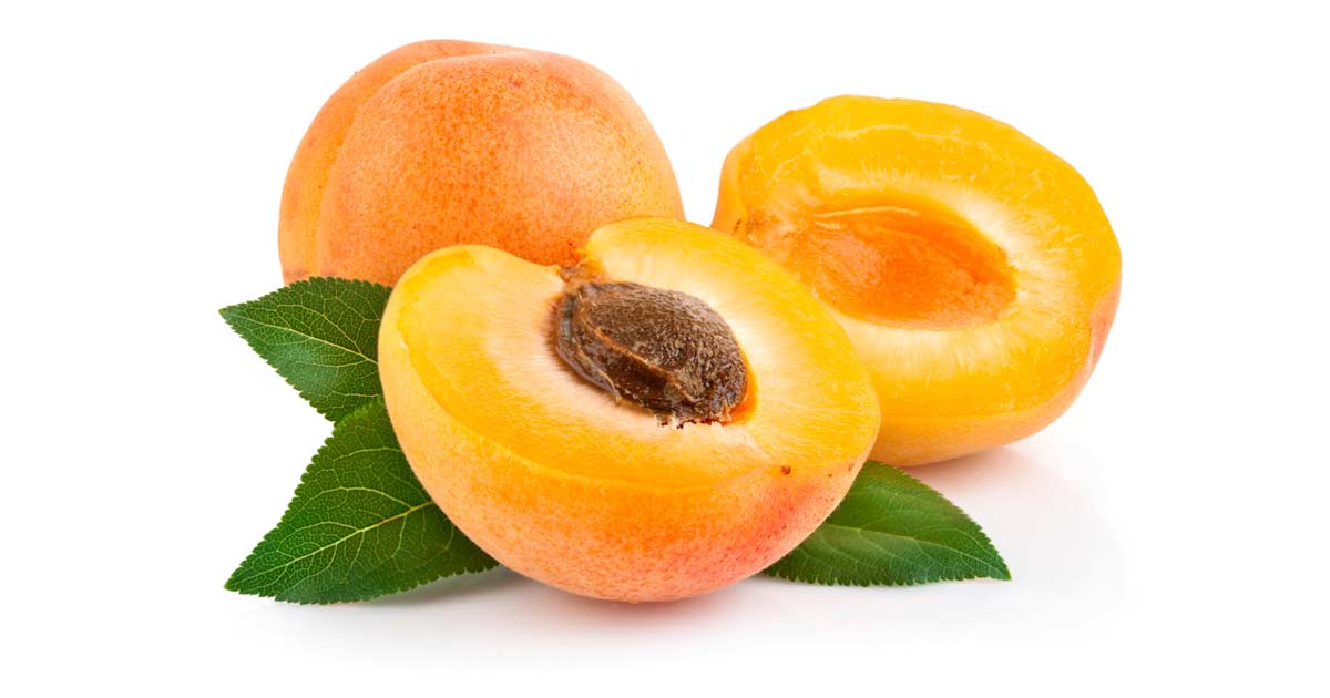 Prunus Mume Fruit Extract