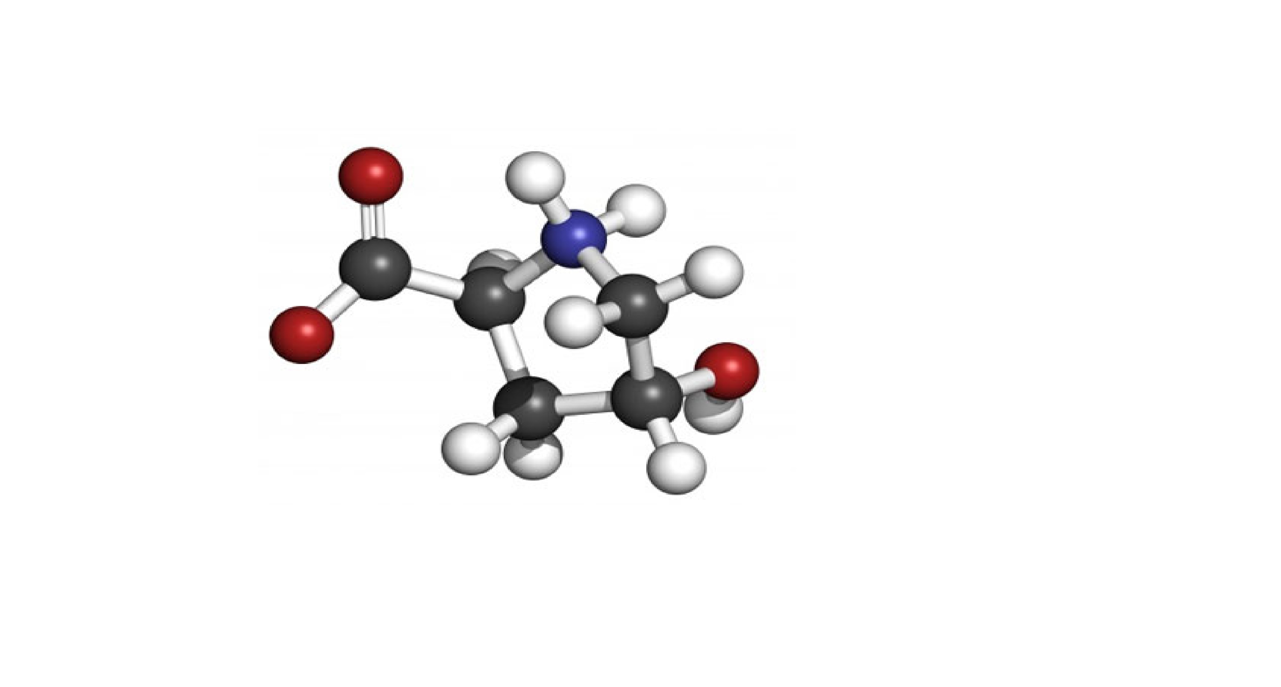 Hydrolyzed Collagen