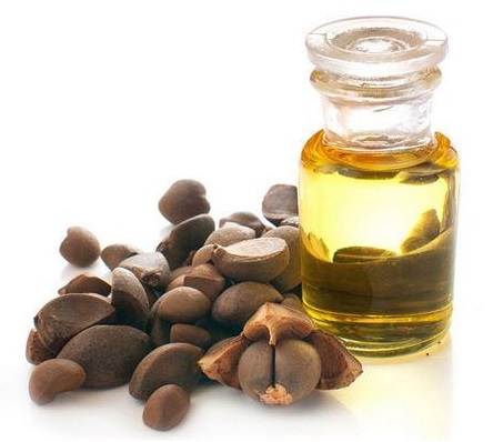 Camella Oleifera (Camellia)Seed Oil