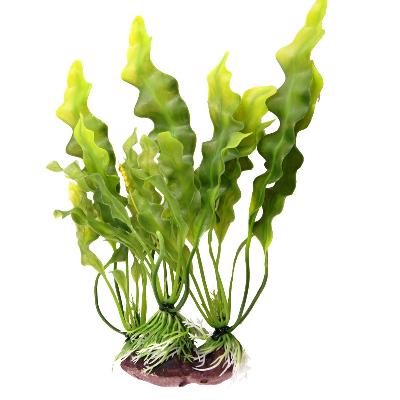 Laminaria Cloustoni Extract