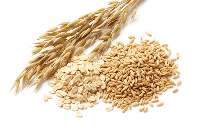Avena Sativa (Oat) Kernel Extract