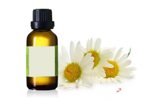 Chamomilla Recutita (Matricaria) Flower Oil