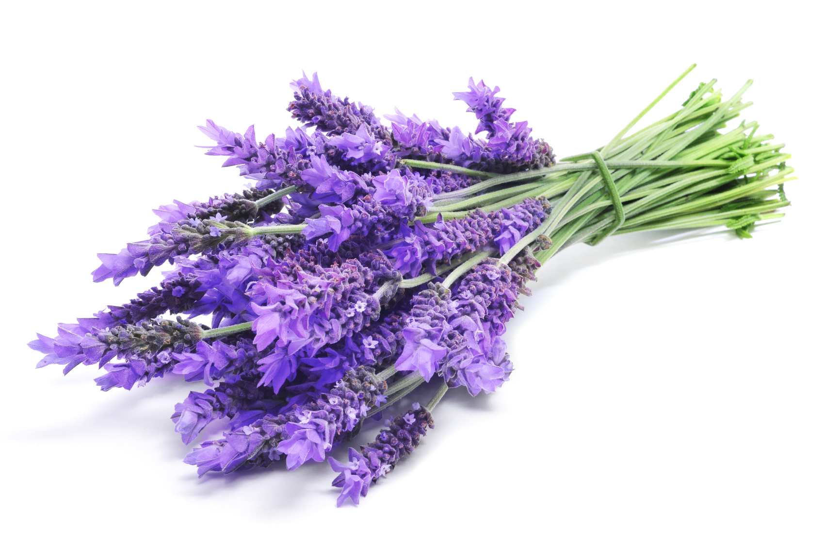 Lavandula Angustifolia (Lavender) Oil