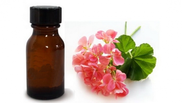 Pelargonium Graveolens Flower Oil