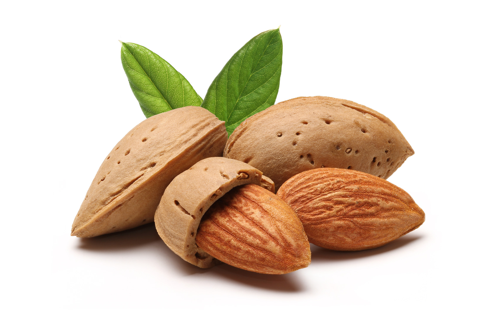 Prunis Amygdalus Dulcis(Sweet Alonid) Oil