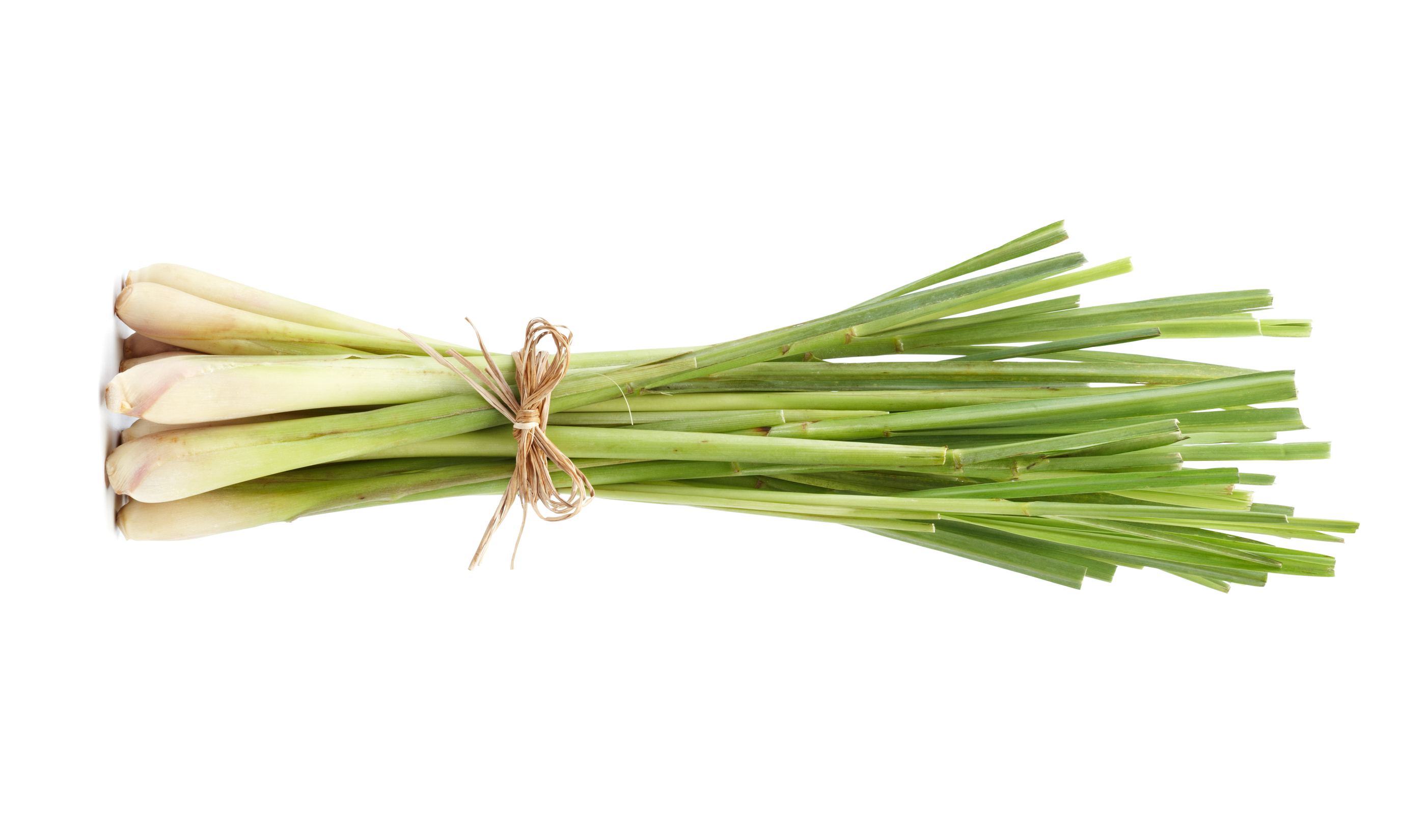 Cymbopogon Martini Oil