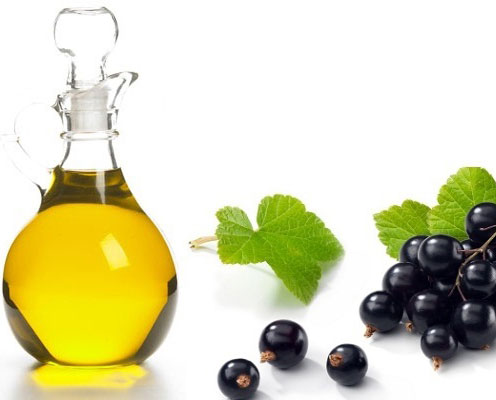 Ribes Nigum (Black Currant) Seed Oil