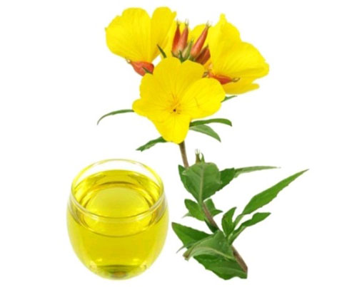 Oenothera Biennis (Evening Primrose) Oil
