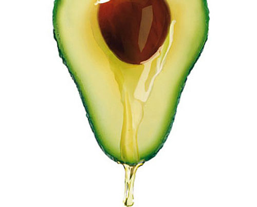 Persea Gratissima (Avocado) Oil