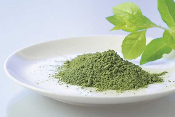 Muốn trị mụn, trắng da hãy dùng bột trà xanh