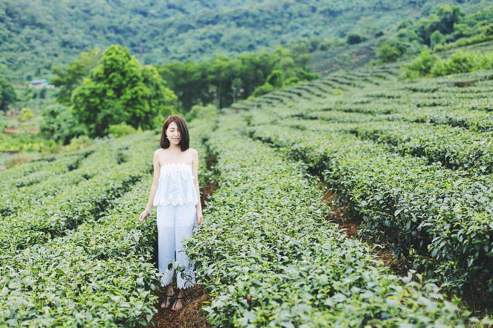 Lắng nghe chia sẻ của nữ nhà văn Phan Ý Yên về Sakura
