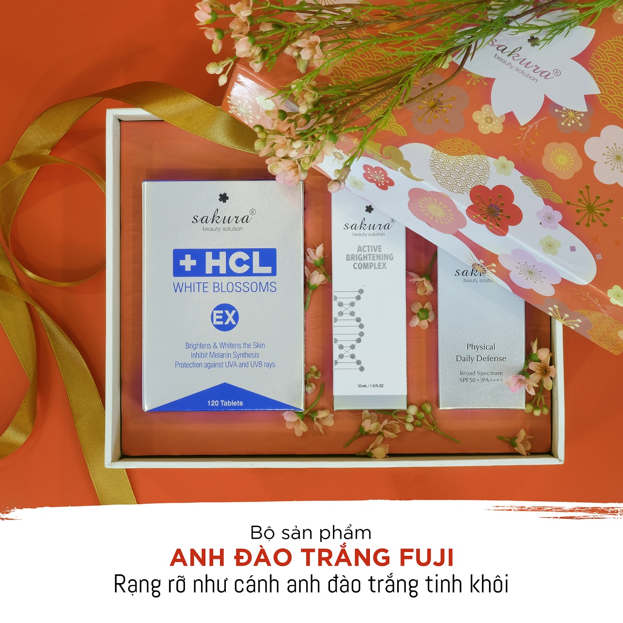 Rạng rỡ như cánh anh đào trắng tinh khôi