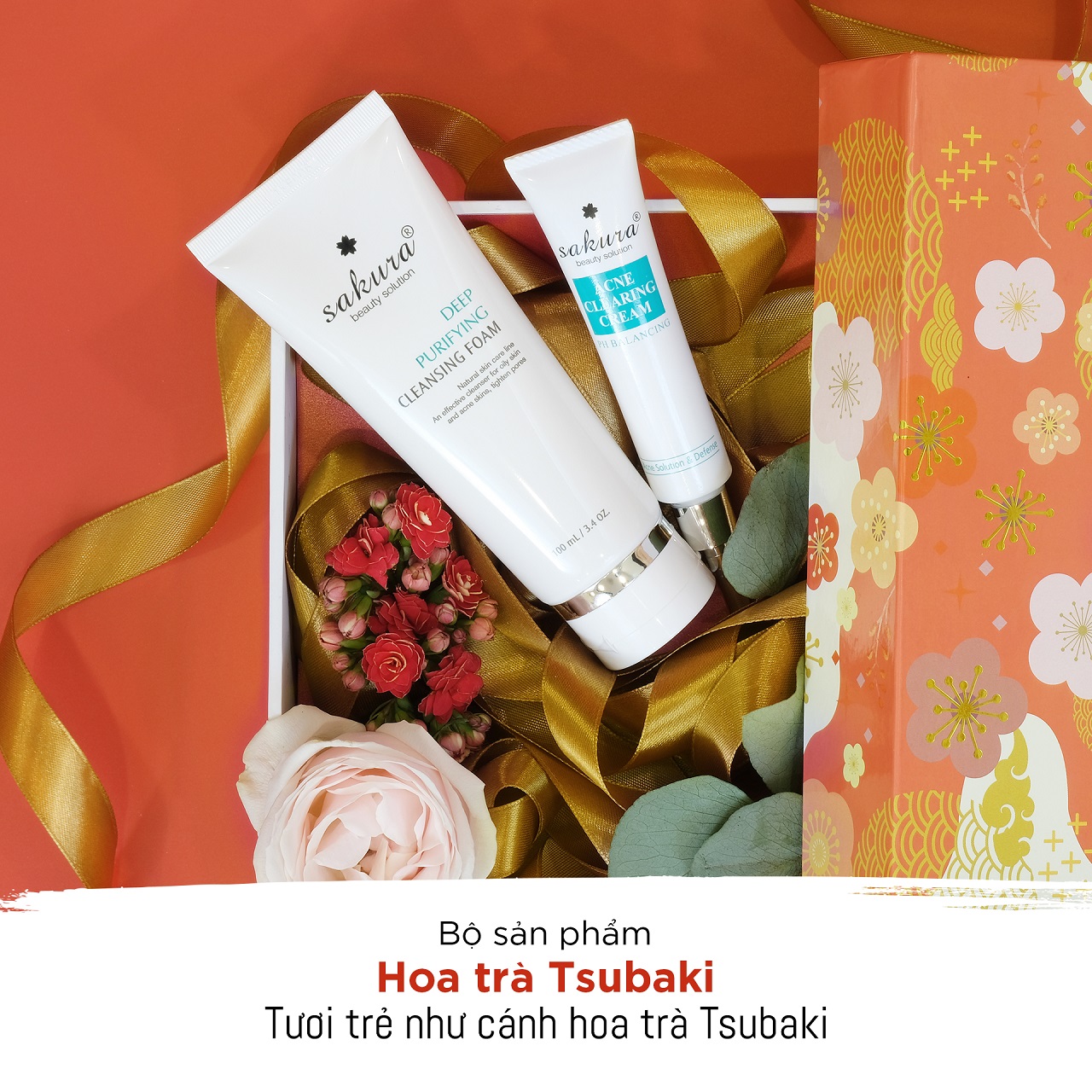 Tươi trẻ như cánh hoa trà Tsubaki
